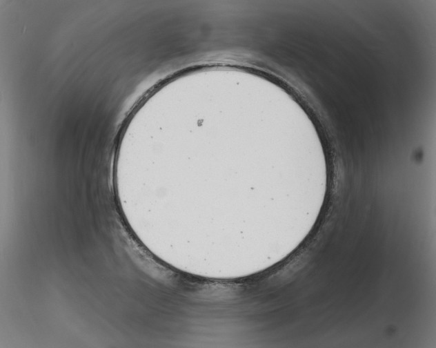 X0000116141224201001041025