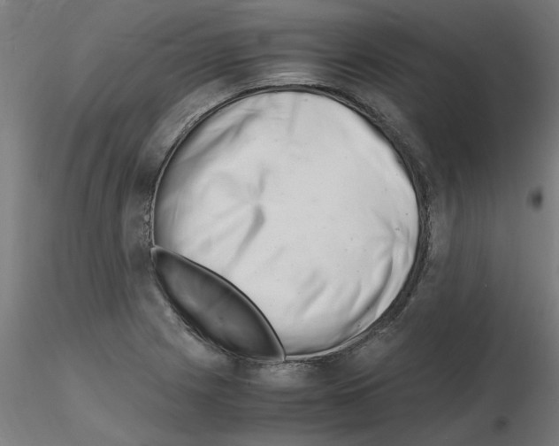 X0000116141225201001041025