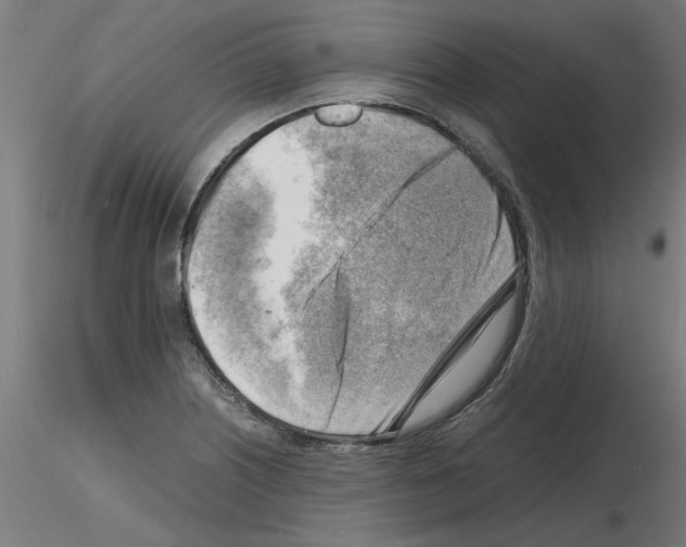 X0000116141226201001041025