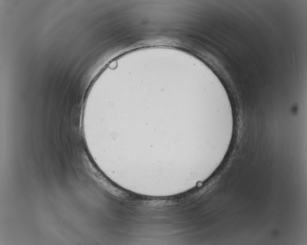 X0000116141228201001041025