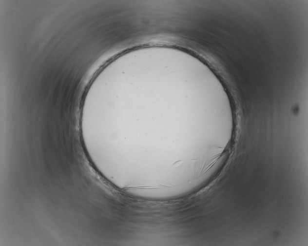 X0000116141232201001041025