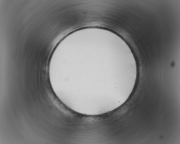 X0000116141234201001041025