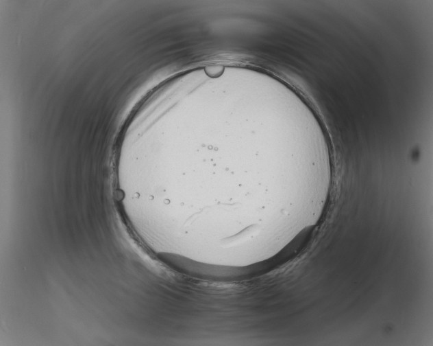 X0000116141235201001041026