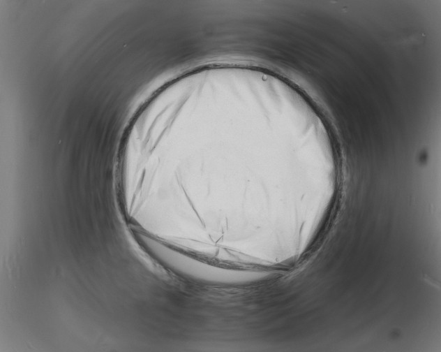 X0000116141237201001041026