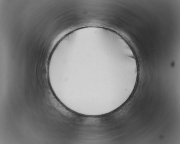 X0000116141238201001041026