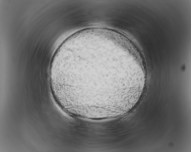 X0000116141239201001041026