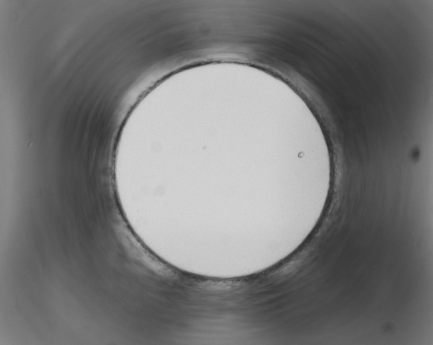 X0000116141240201001041026