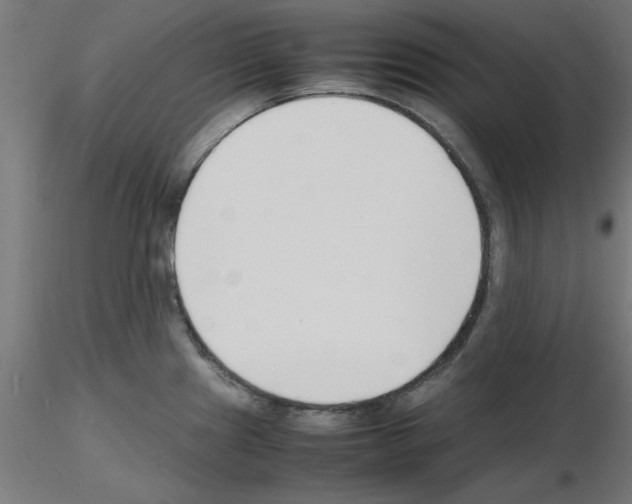 X0000116141241201001041026