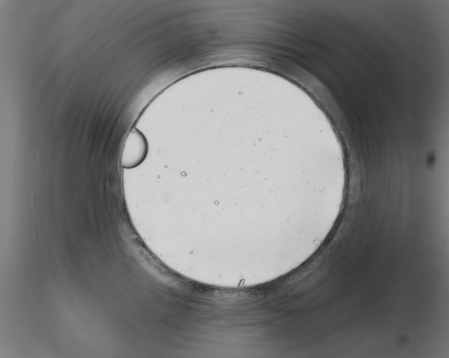 X0000116141242201001041026