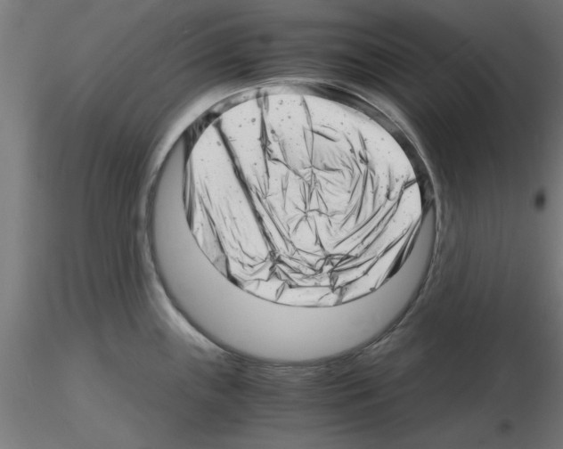 X0000116141243201001041026