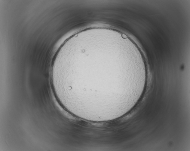 X0000116141245201001041026