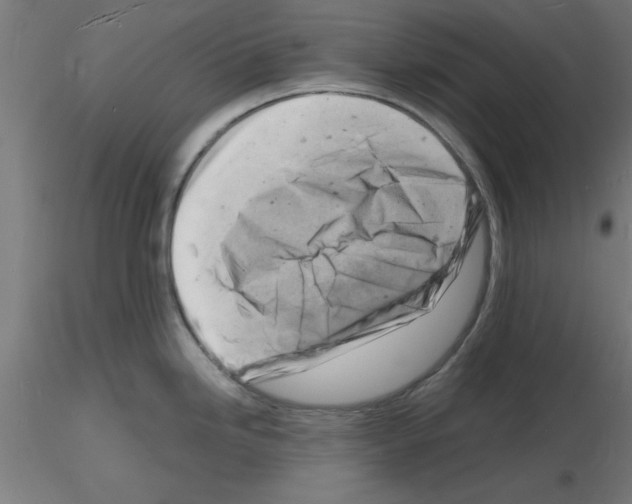 X0000116141246201001041026