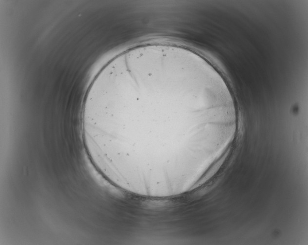 X0000116141247201001041026