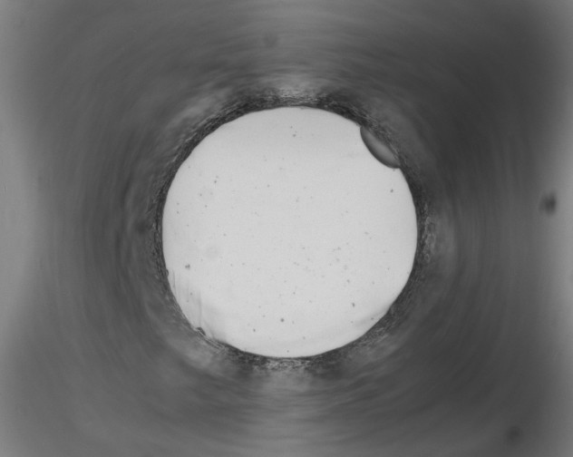 X0000116141249201001041025