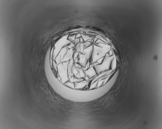 X0000116141253201001041025