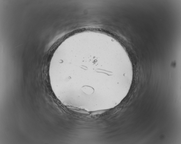 X0000116141255201001041025