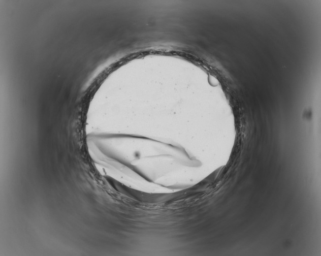 X0000116141256201001041025