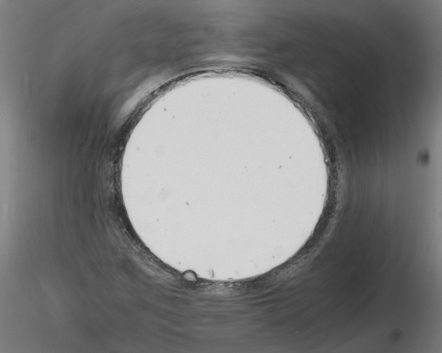 X0000116141259201001041025