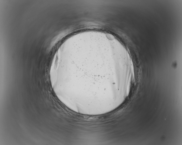 X0000116141261201001041025