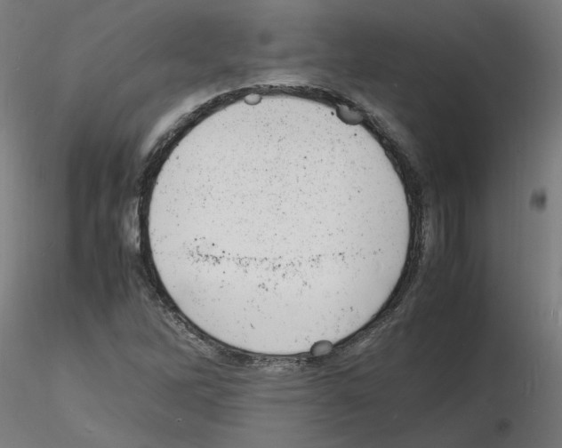 X0000116141262201001041025