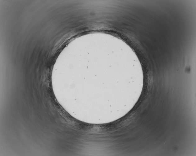 X0000116141265201001041025