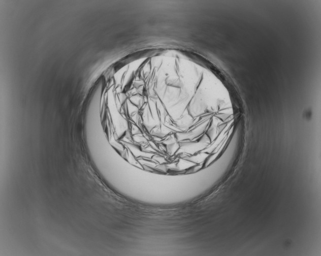 X0000116141269201001041025