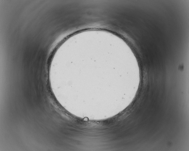 X0000116141270201001041025