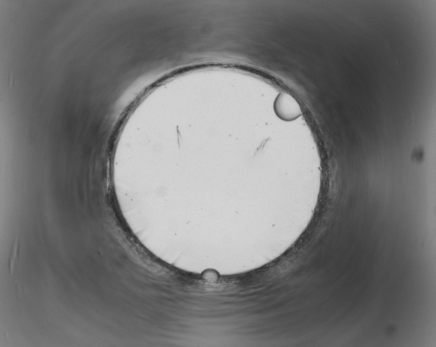 X0000116141271201001041025