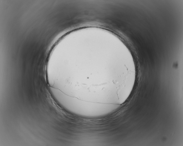 X0000116141272201001041025