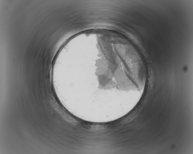 X0000116141275201001041025