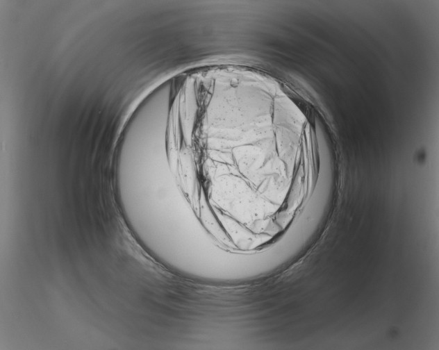 X0000116141276201001041025