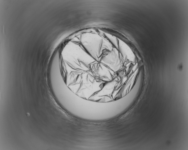 X0000116141277201001041025