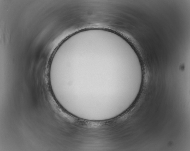 X0000116141278201001041025