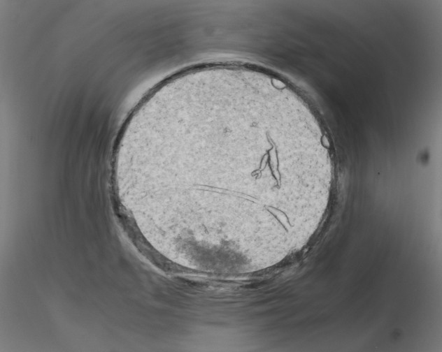 X0000116141279201001041025