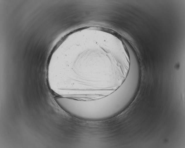 X0000116141280201001041025