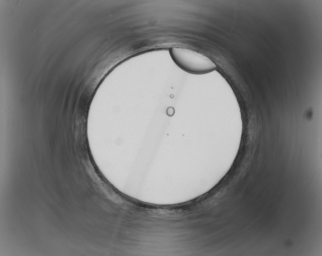 X0000116141281201001041025