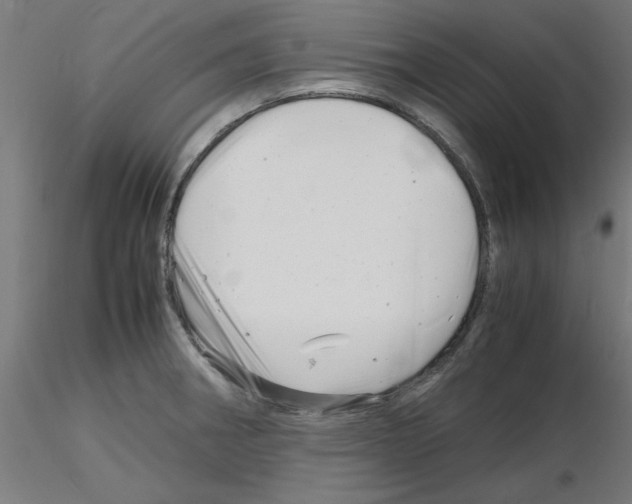 X0000116141282201001041025