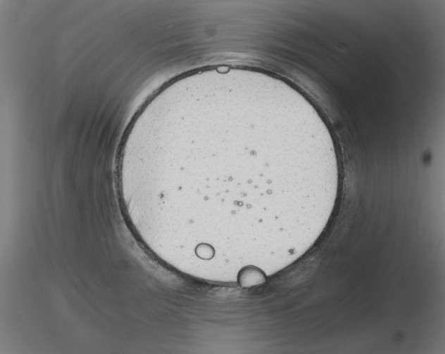 X0000116141283201001041025