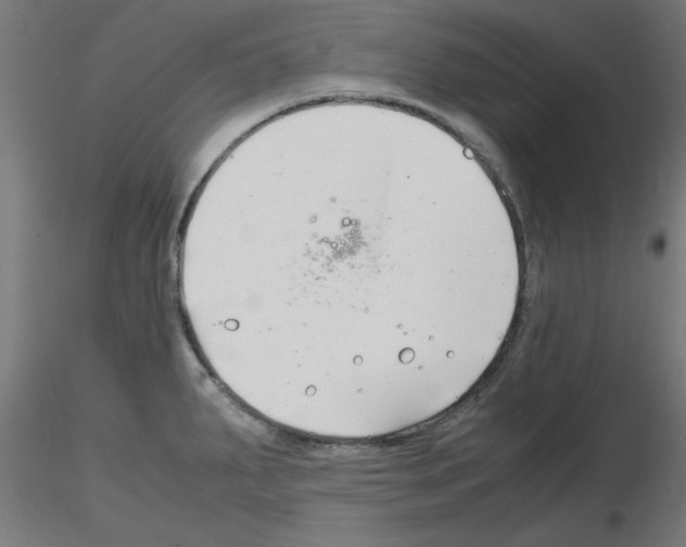 X0000116141287201001041025