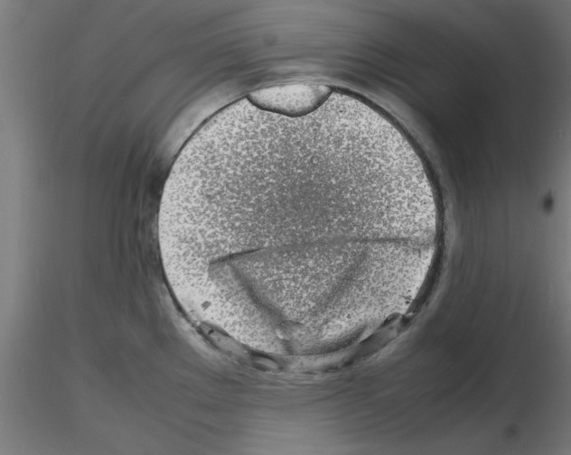 X0000116141289201001041024