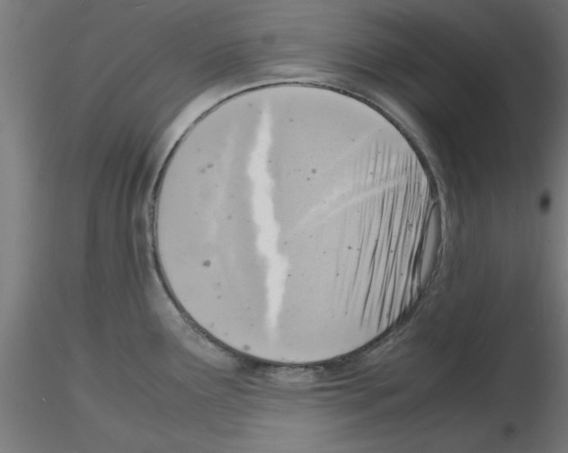 X0000116141291201001041024