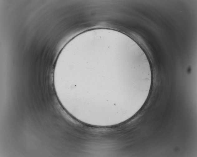 X0000116141292201001041024