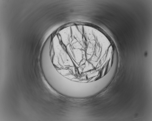 X0000116141293201001041024