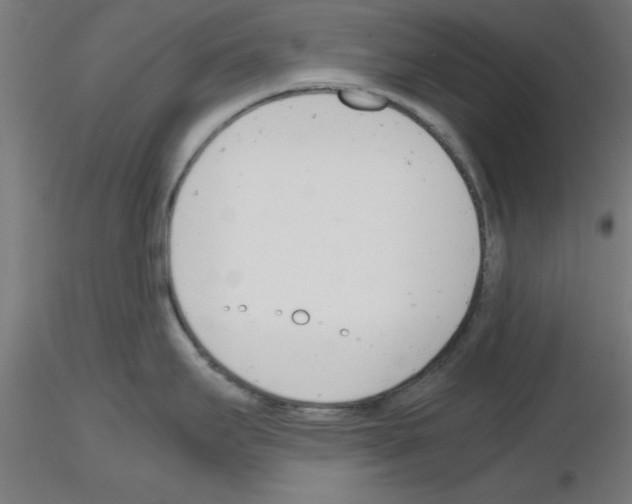 X0000116141295201001041024