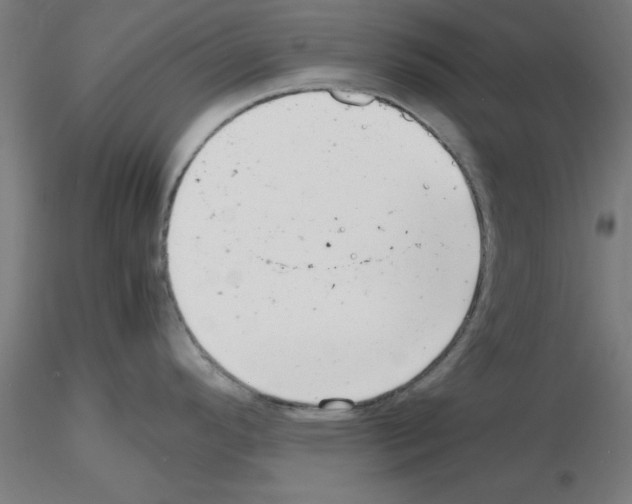 X0000116141296201001041024