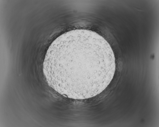 X0000116141297201001041024