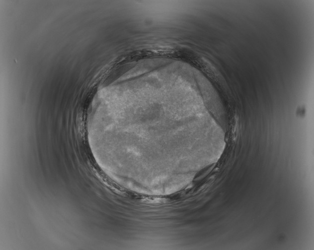 X0000116141298201001041024