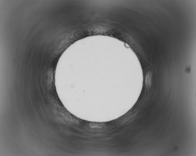 X0000116141299201001041024