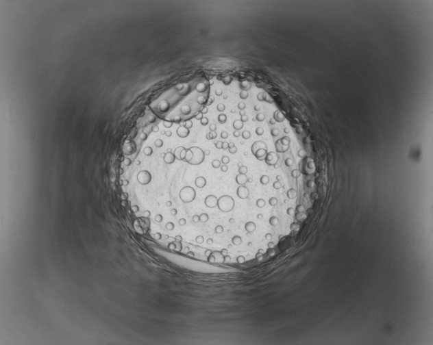 X0000116141301201001041024