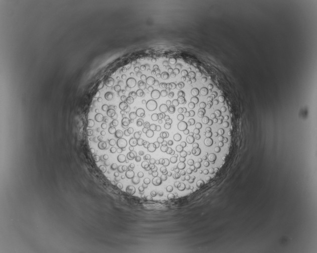 X0000116141302201001041024